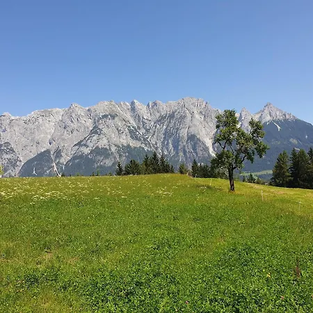 Apartment Mountain Riesgut