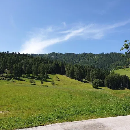 Mountain Riesgut * Werfen