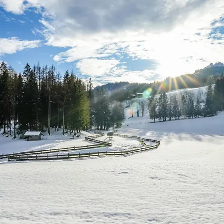 Mountain Riesgut Apartment